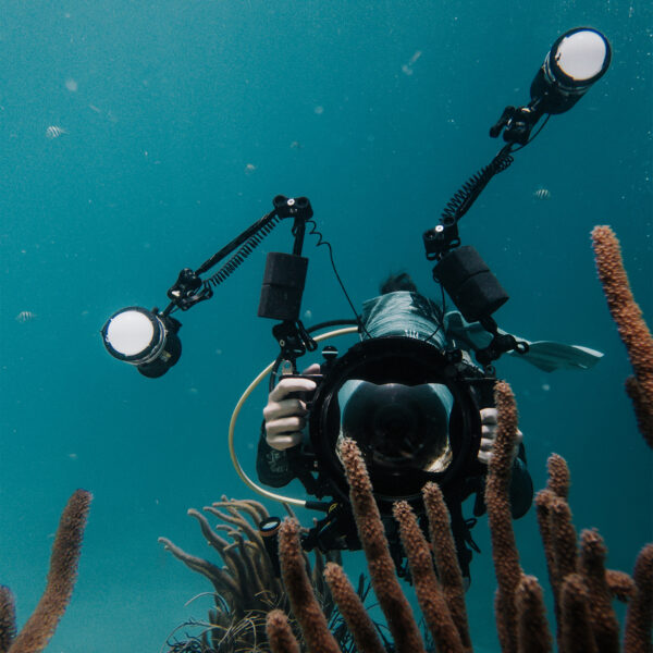 Colores del azul: taller de fotografía submarina