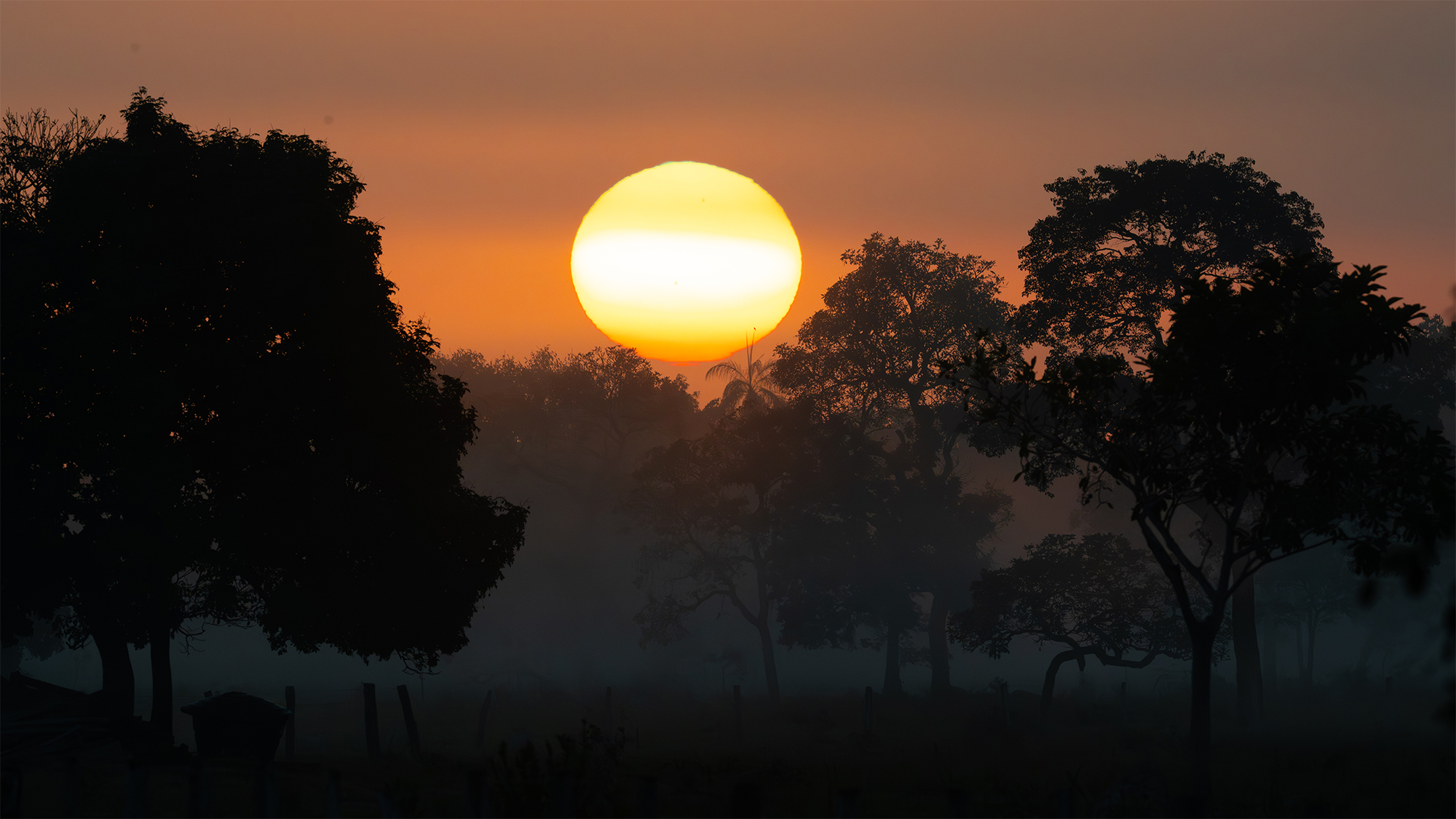 carrusel4_pantanal