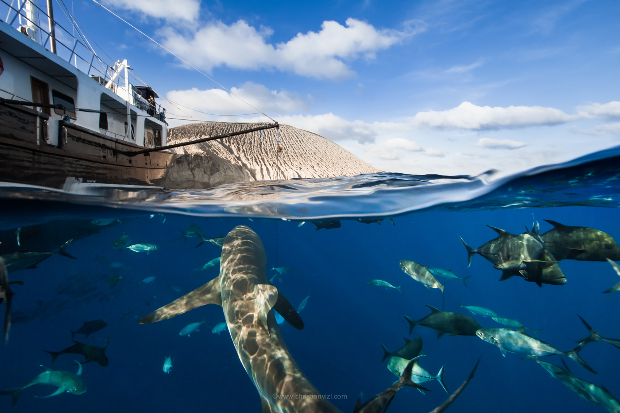 México, Revillagigedo Islands, San Benedicto. Half and half image of a silkie shark (Carcharhinus falciformis) and fishes, and San Benedicto Island with Liveaboard Quino el Guardian on top.